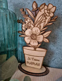 Bouquet de fleurs éternelles